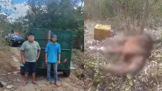 Detienen a dos jóvenes por tirar un caballo muerto en camino en Kanasín