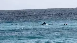 El incidente se reportó cerca al Parque Garrafón, la embarcación llevaba tres tripulantes