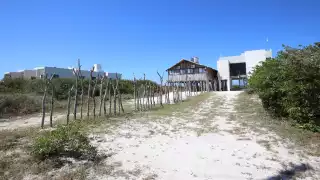 La Semarnat permitió la remoción vegetal siempre y cuando fuera “manual”.