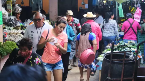 El reporte desglosa por sectores el tipo de empleo que existe en la entidad y el más demandado