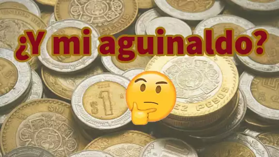 El aguinaldo debe ser proporcional a 15 día de trabajo El aguinaldo debe ser proporcional a 15 día de trabajo