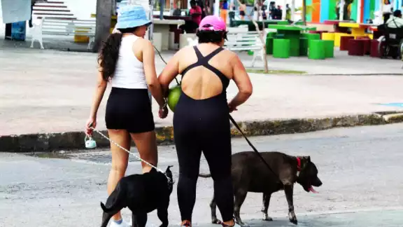 La normativa provocó la molestia de propietarios de animales, pues señalan que debieron ser tomados en cuenta por las autoridades La normativa provocó la molestia de propietarios de animales, pues señalan que debieron ser tomados en cuenta por las autoridades