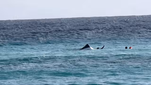 El incidente se reportó cerca al Parque Garrafón, la embarcación llevaba tres tripulantes