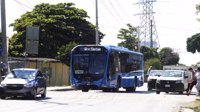 El Estado está siendo la punta de lanza en cuestión de movilidad a nivel nacional, reportan