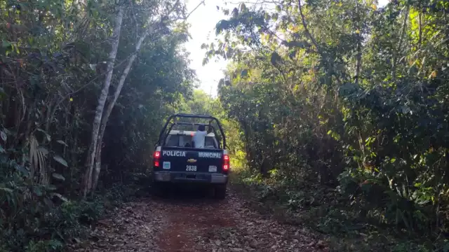 A la búsqueda se sumaron campesinos, familiares, elementos de la policía y Protección Civil