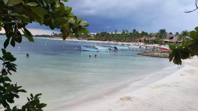 El CEA cuenta para esta labor no solo personal especializado y una red de voluntarios