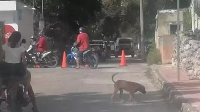 El lugar fue acordonado por las autoridades municipales para el levantamiento del cuerpo