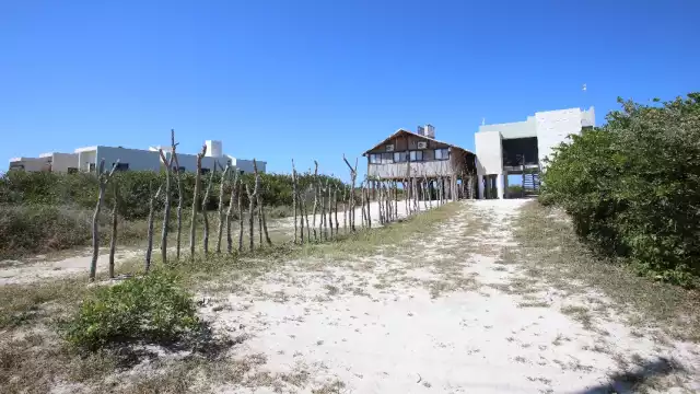 La Semarnat permitió la remoción vegetal siempre y cuando fuera “manual”.