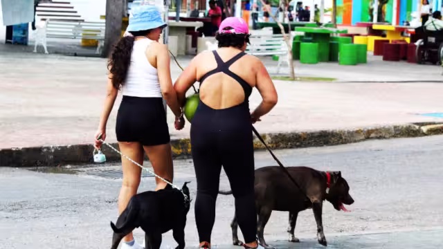 La normativa provocó la molestia de propietarios de animales, pues señalan que debieron ser tomados en cuenta por las autoridades