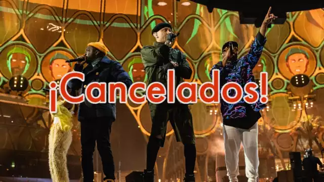 El Ayuntamiento de Playa del Carmen gastó medio millón de dólares para contratarlos