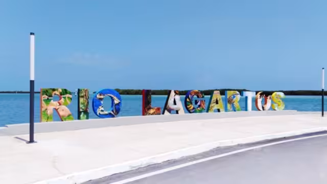 La playa de la reserva ecológica de Yucatán tiene una superficie de 827.36 hectáreas, y abarca varios municipios donde recalan las tortugas marinas