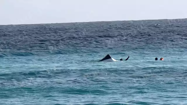 El incidente se reportó cerca al Parque Garrafón, la embarcación llevaba tres tripulantes