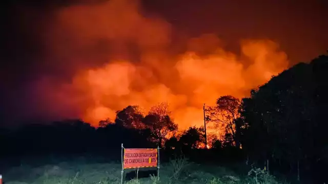 Los pobladores de la Junta Municipal de Felipe Carrillo Puerto también se unieron a las brigadas voluntario