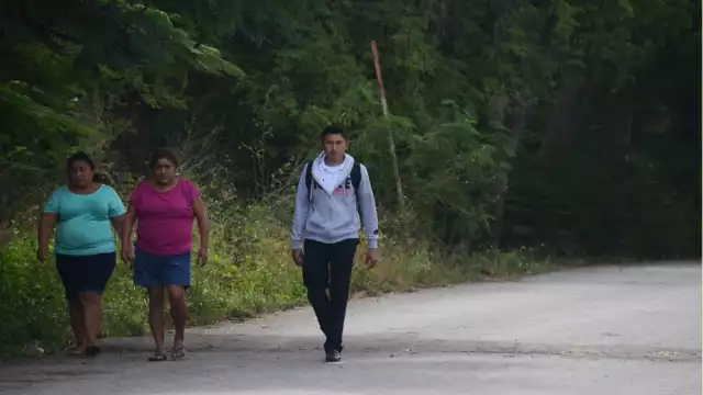 En el caso de la sección de Gobierno, se asignaron 4 millones 646 mil 92 pesos