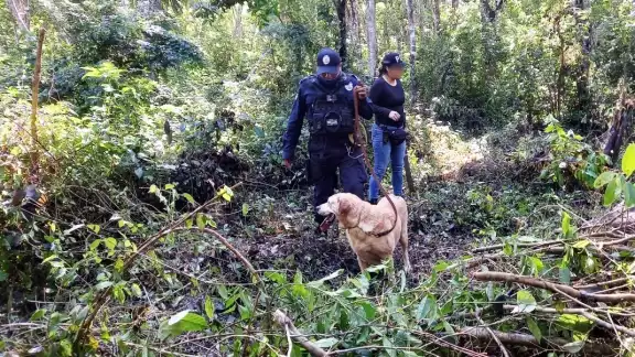En el operativo participaron elementos de la Guardia Nacional, Policía Quintana Roo, Policía de Cancún, FGE y familiares de la víctima En el operativo participaron elementos de la Guardia Nacional, Policía Quintana Roo, Policía de Cancún, FGE y familiares de la víctima
