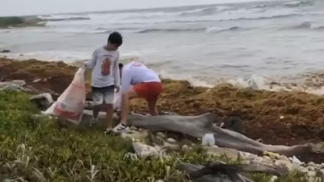 Parte de la limpieza de playas en las costas de Mahahual