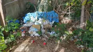 La Coordinación Estatal Contra Riesgos Sanitarios, es la instancia encargada de realizar la vigilancia de este tipo de negocios