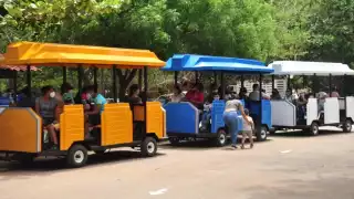Desde la entrada hay un cerco sanitario donde se toma la temperatura, hay un módulo lavamanos, así como un espacio sanitizante