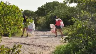 El plan se ejecutará en nueve municipios del estado