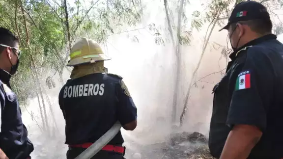 El cuerpo de bomberos logró apagar el incendio antes de que creciera El cuerpo de bomberos logró apagar el incendio antes de que creciera