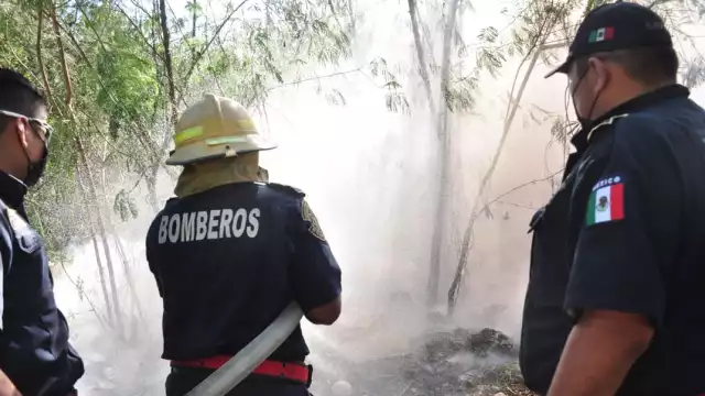 El cuerpo de bomberos logró apagar el incendio antes de que creciera