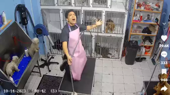 El joven cantó a todo pulmón una canción de Gloria Trevi y se volvió viral en redes sociales El joven cantó a todo pulmón una canción de Gloria Trevi y se volvió viral en redes sociales