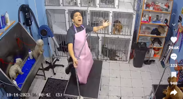 El joven cantó a todo pulmón una canción de Gloria Trevi y se volvió viral en redes sociales