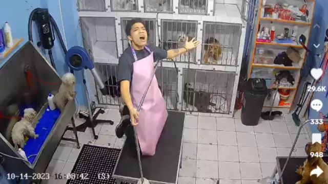 El joven cantó a todo pulmón una canción de Gloria Trevi y se volvió viral en redes sociales