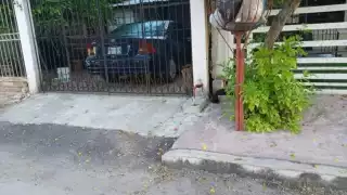 Los vecinos de esta zona de la ciudad pidieron a los dueños de mascotas, eviten que salgan a las calles