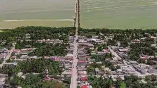 Costa de Yucatán, en peligro; crecimiento desordenado causa la destrucción de los manglares y el desplazamiento de la población   