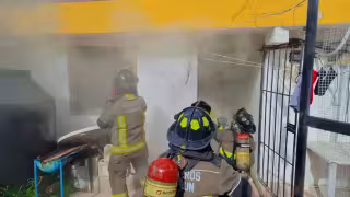 Los vulcanos entraron al inmueble y rescataron a un perro.