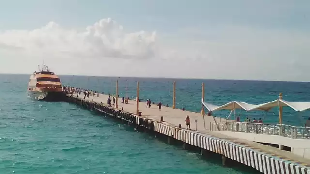 De comprobarse el hecho podrían imponerse sanciones a los emplazados de conformidad con la Ley Federal de Competencia Económica aplicable