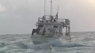 Pescadores del "Neldy" sobreviven al Huracán "Milton"  y regresan sanos y salvos a puerto de Yucatán