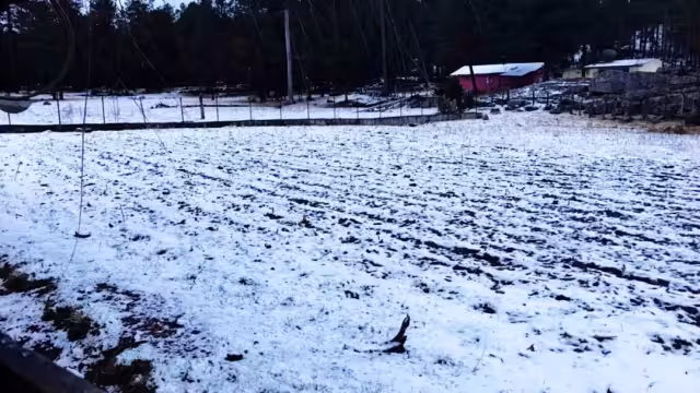 Internautas comparte imágenes de la nevada que se registró en distintas partes de México