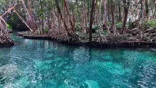 Los ojos de agua se encuentran escondidos en Yucatán