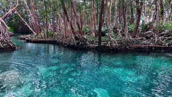Los ojos de agua se encuentran escondidos en Yucatán Los ojos de agua se encuentran escondidos en Yucatán