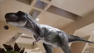 El Museo del Meteorito de Progreso contará la historia de la extinción de los dinosaurios