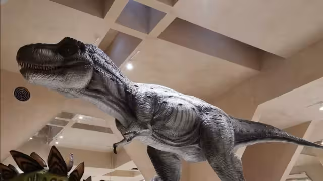 El Museo del Meteorito de Progreso contará la historia de la extinción de los dinosaurios