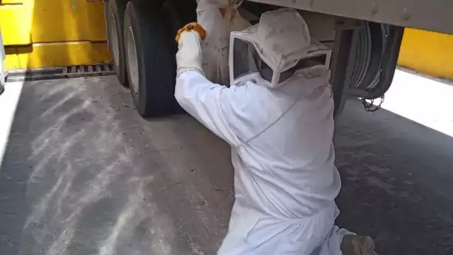 Los 24 vulcanos que laboran en las dos bases cuentan con la formación y el conocimiento para realizar esta labor.