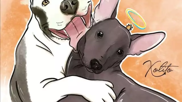 El joven compartió que se tomó un tiempo para publicar lo ocurrido con sus dos perritos