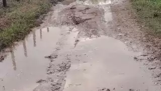 Productores de Palizada exigen rehabilitación urgente de caminos sacacosecha