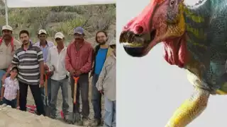 Identifican una nueva especie de dinosaurio en México