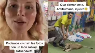 Se desconoce si alguna autoridad de Playa del Carmen haya otorgado los permisos para poder trabajar con animales salvajes