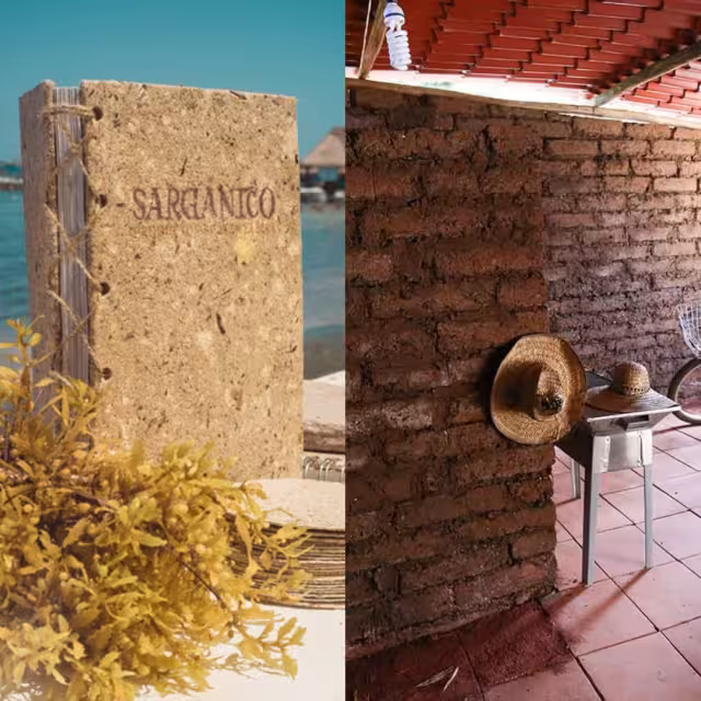 Estos son los cuatro productos hechos por emprendedores mexicanos