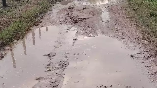 Productores rechazan politización y exigen solución a crisis de caminos rurales