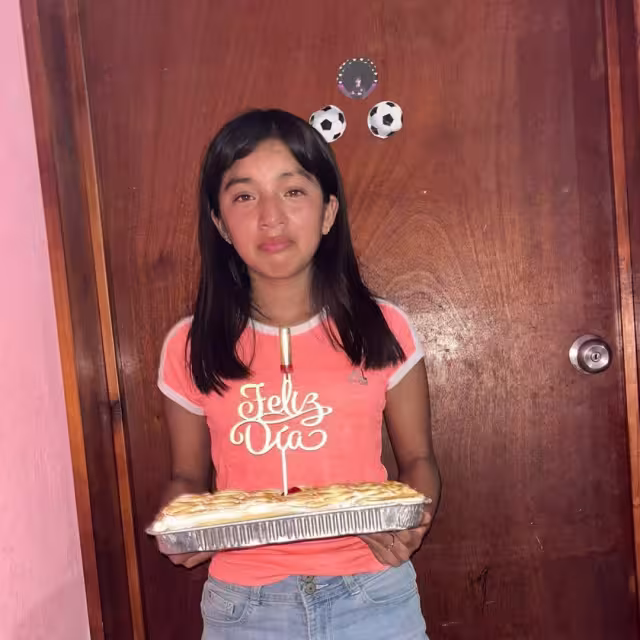 Hasta el momento no se ha activado una ficha de búsqueda