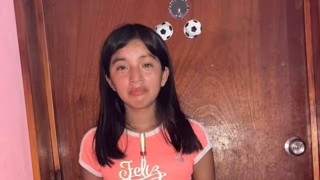 Hasta el momento no se ha activado una ficha de búsqueda