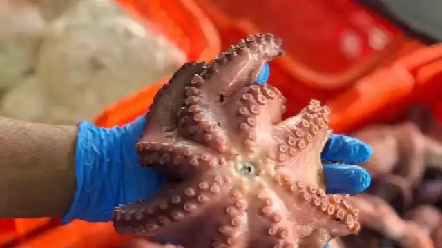 Autoridades indicaron que sí hay sanciones, pero que se han retardado por la pandemia