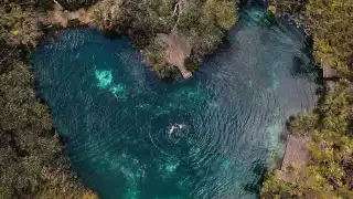 El cenote Corazón del Paraíso está ubicado a 7 kilómetros de Tulum, en la carretera Tulum-Carrillo Puerto