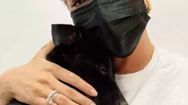 La influencer compartió con sus seguidores el dolor que sintió por la muerte de su perrita